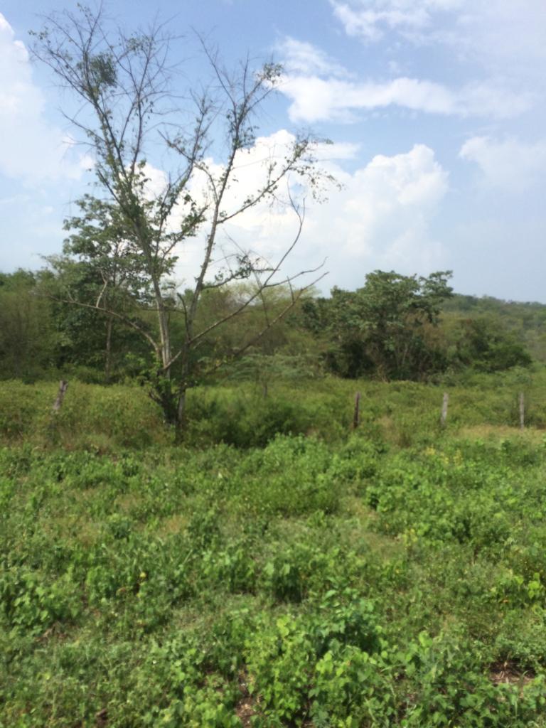 Finca en venta en Honda  Tolima