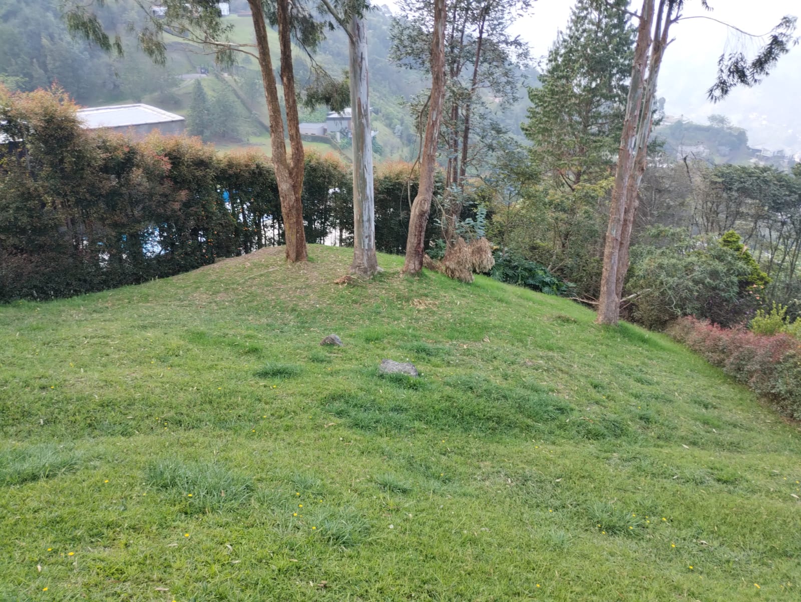 Casa en venta en las Palmas Medellin