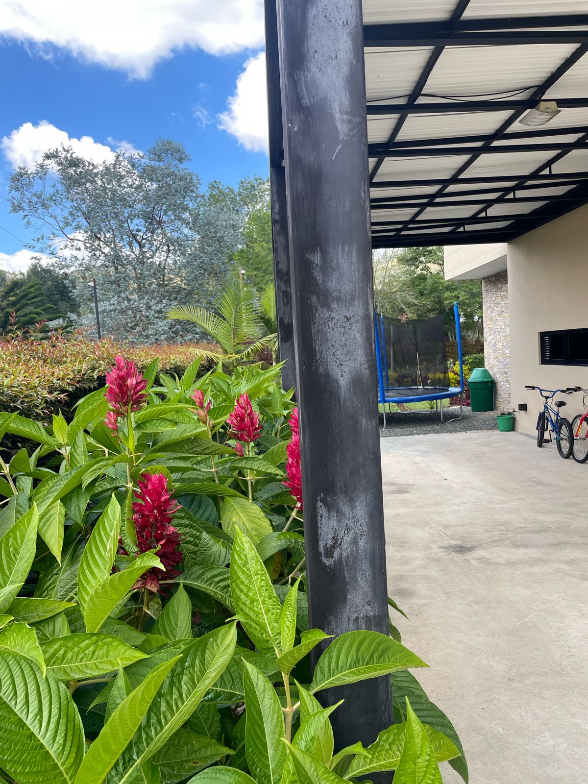 Casa finca  en venta en Guarne Antioquia vereda La Clarita