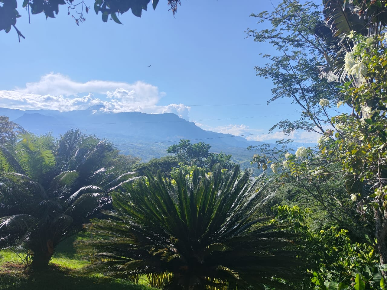 Casa finca de recreo para venta en la PIntada Antioquia