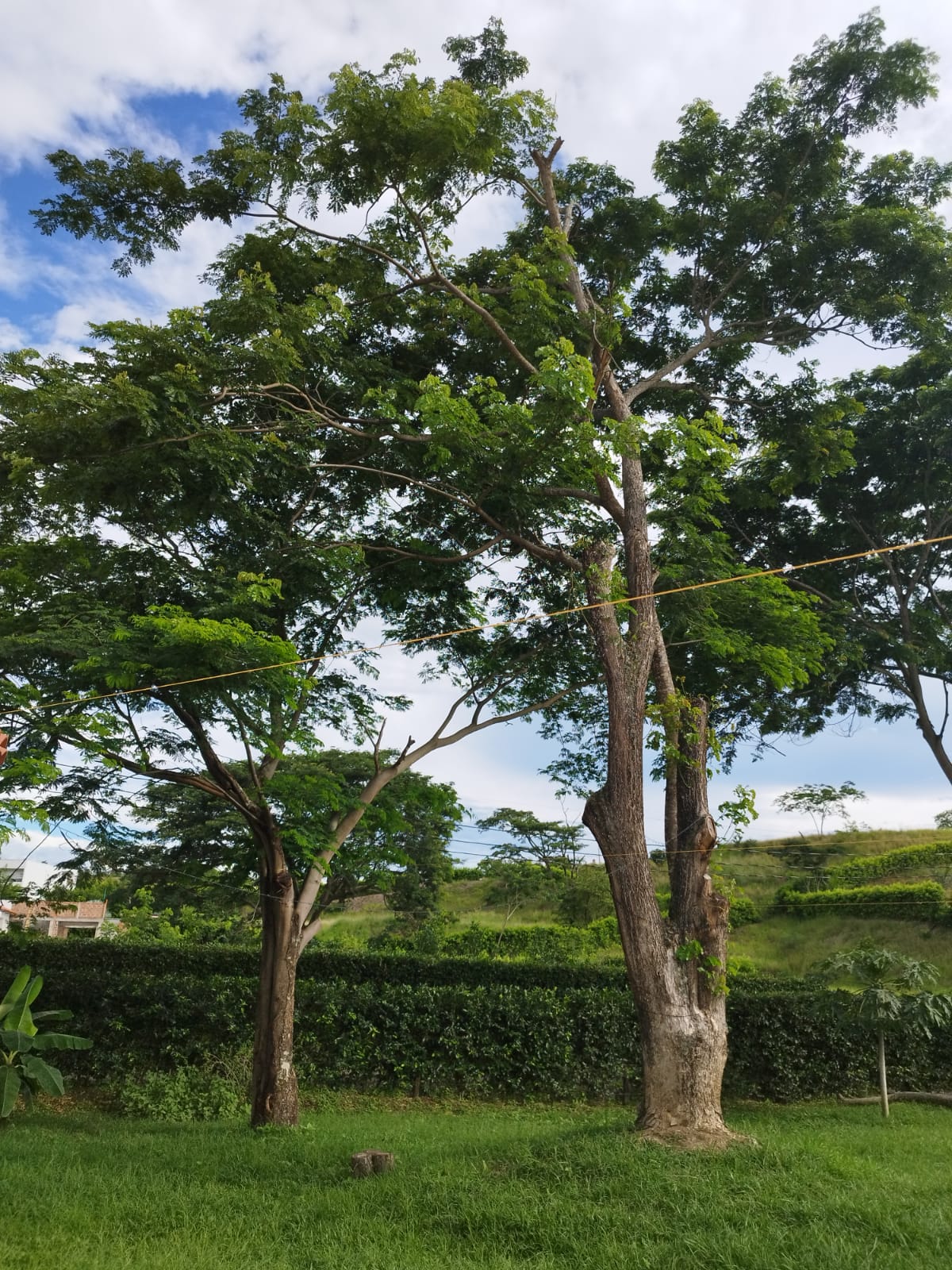Casa finca  en venta en Sopetran el Rodeo