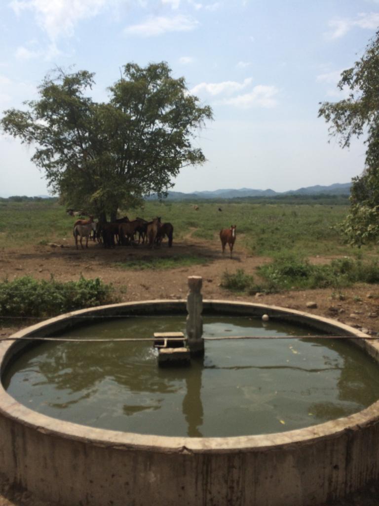 Finca en venta en Honda  Tolima