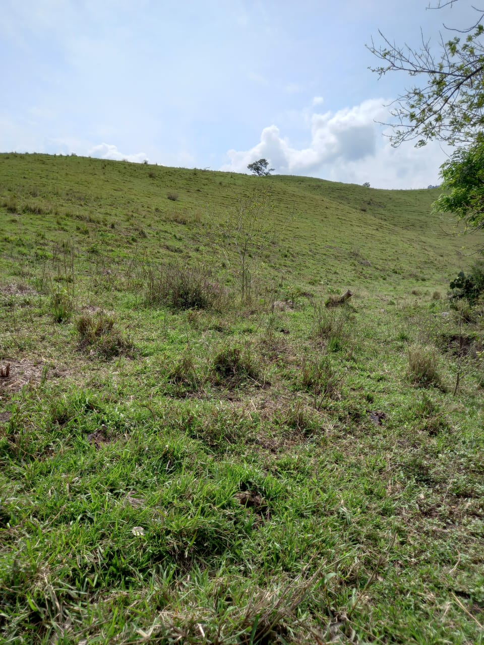 Lote  para la venta en Girardota  Antioquia