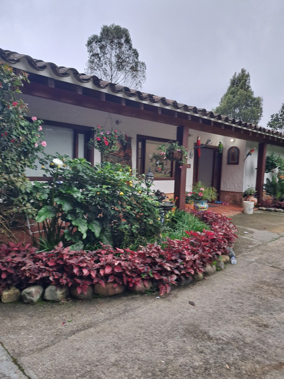 Casa campestre para arriendo en Las Palmas Envigado
