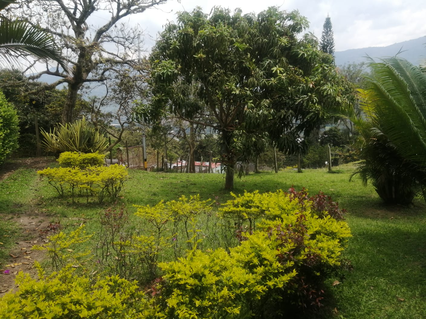 Lote  para la venta en Girardota  Antioquia