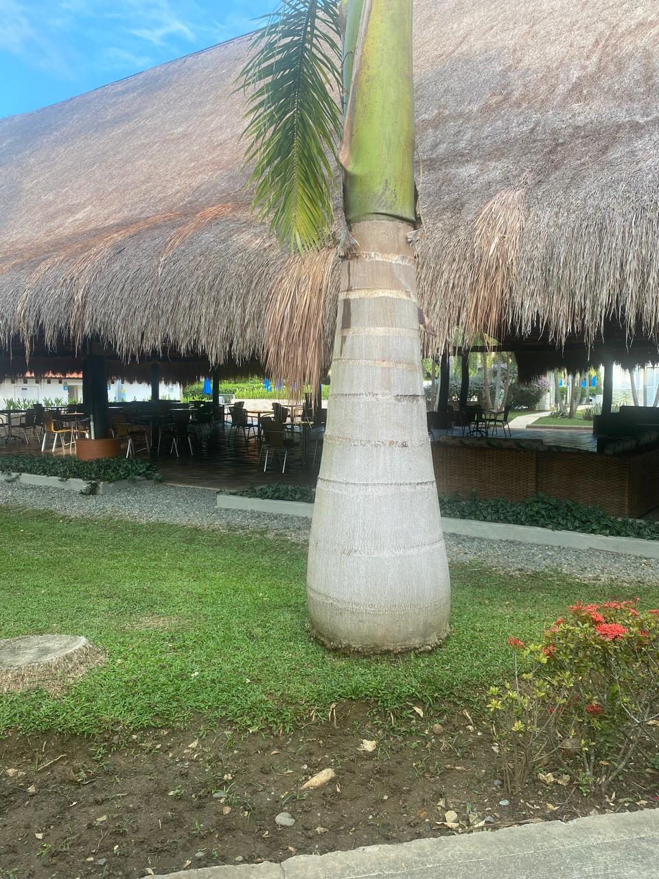 En Venta casa campestre en Santa Fe de Antioquia