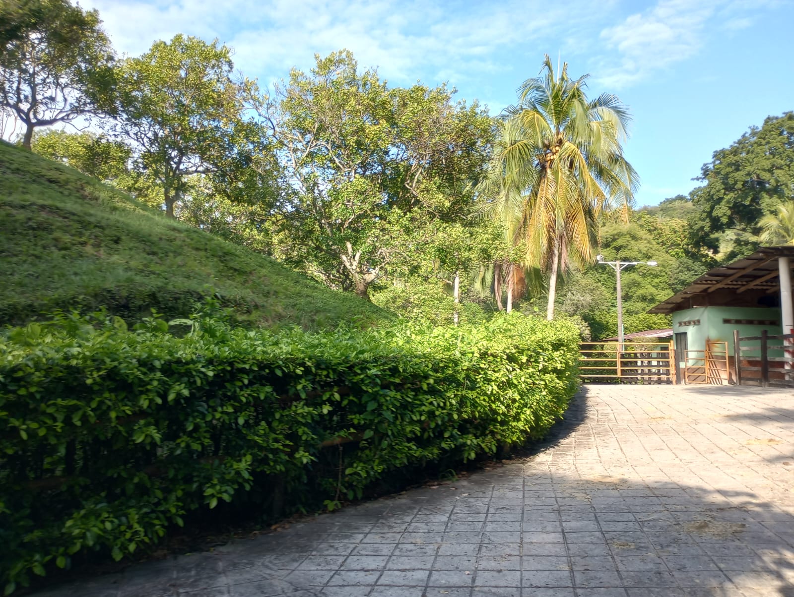 Finca en venta en Honda  Tolima
