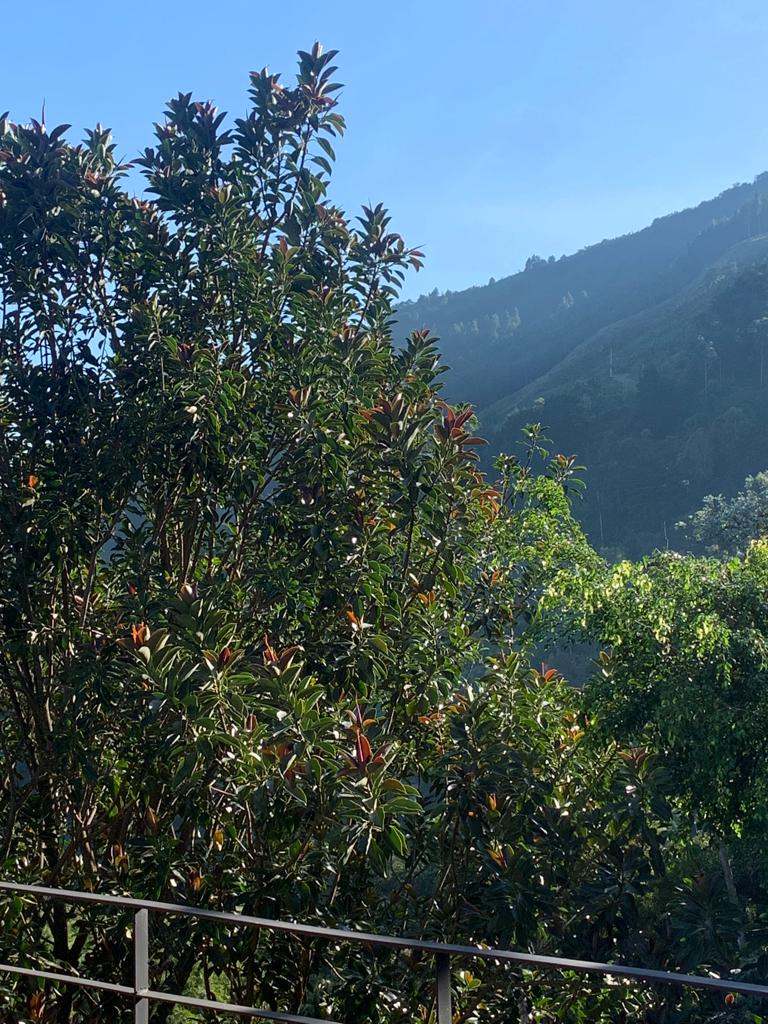 Casa en venta en las Palmas Medellin para rentas cortas