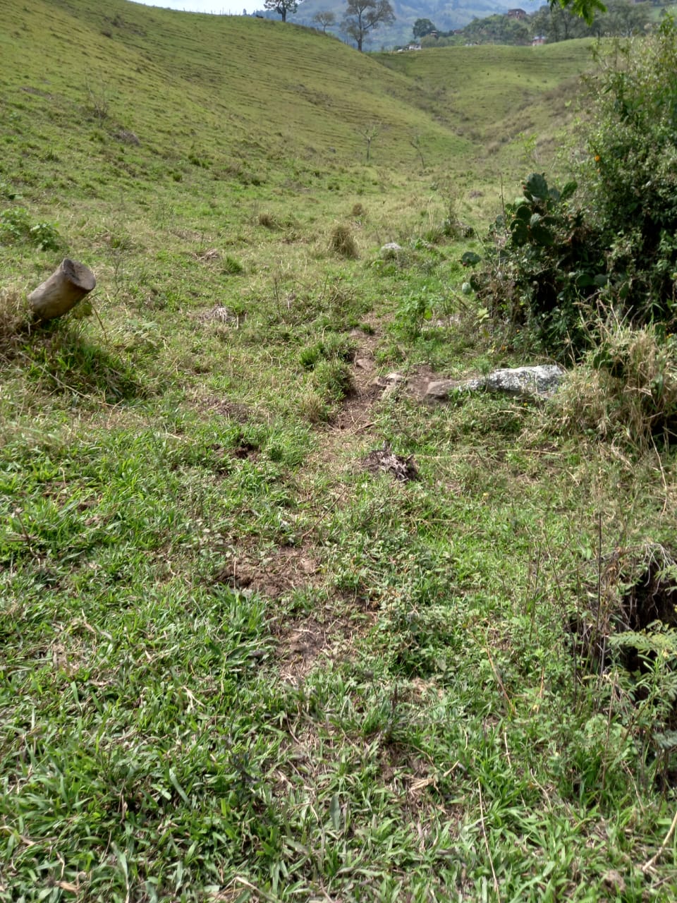 Lote  para la venta en Girardota  Antioquia