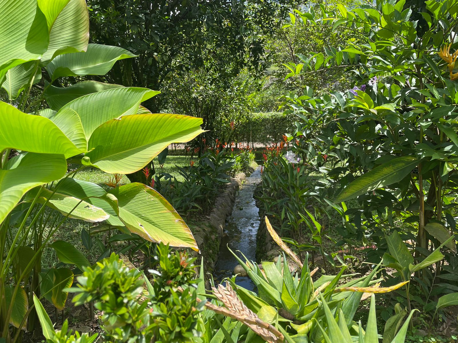 Finca para la venta en Copacabana  Antioquia