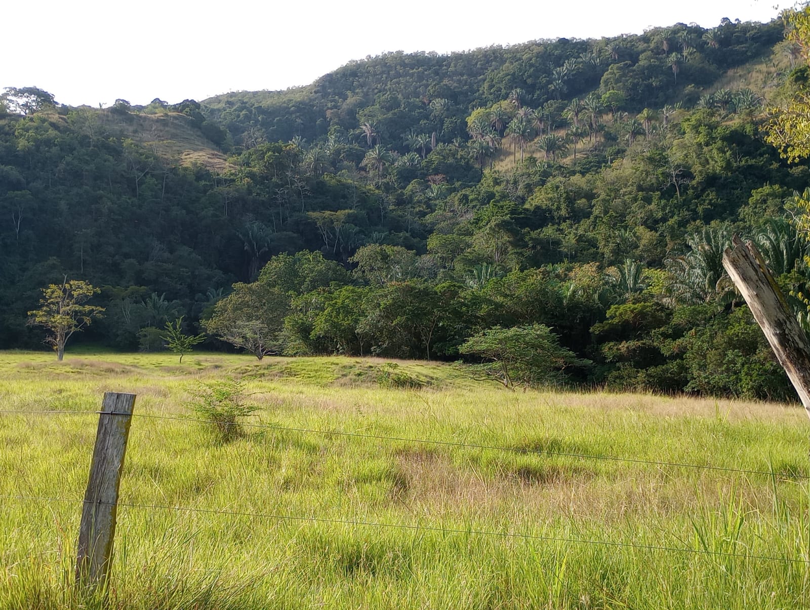 Finca en venta en Honda  Tolima