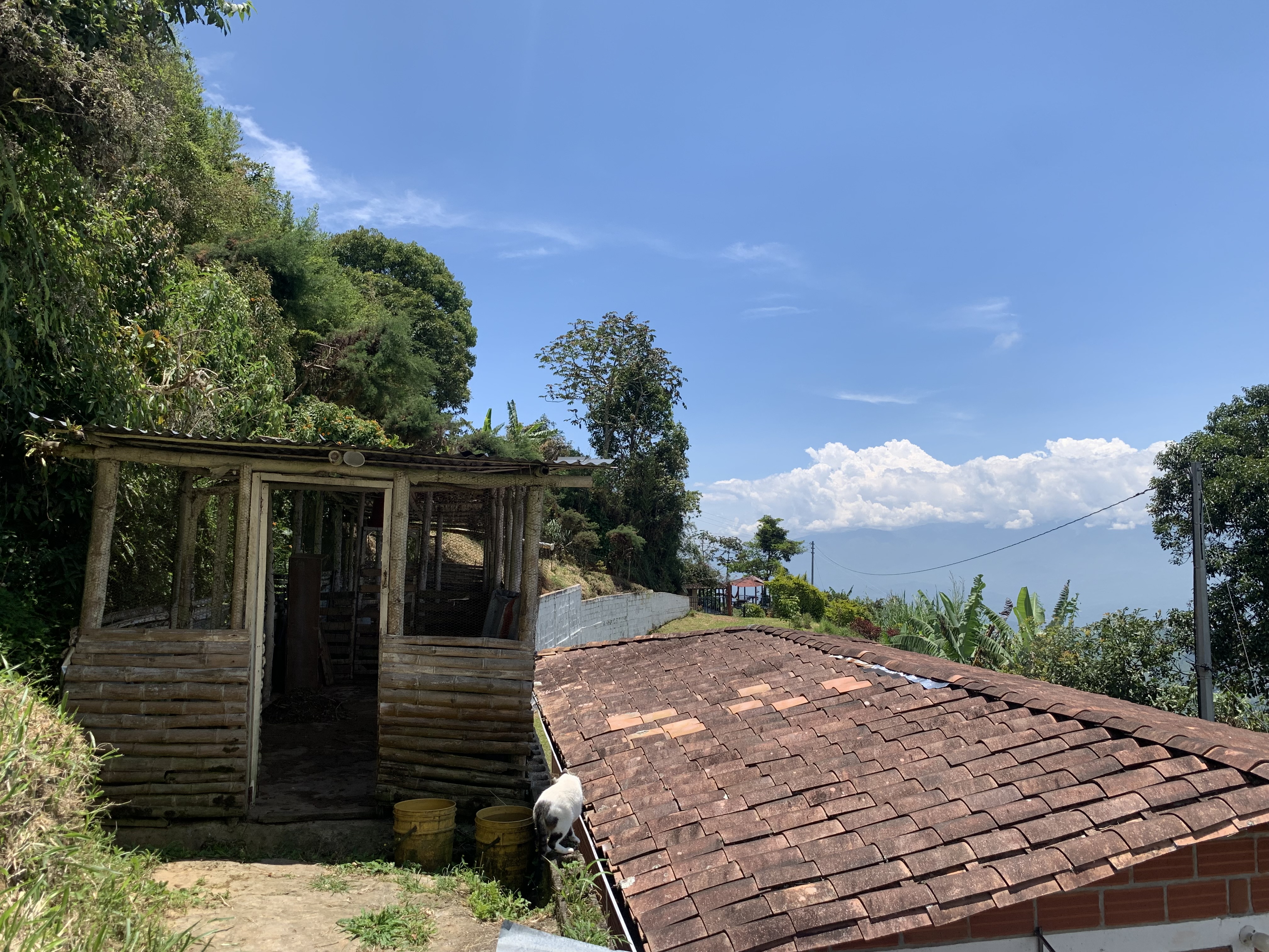 Finca en venta en Santa Barbara, Alto de los Gomez