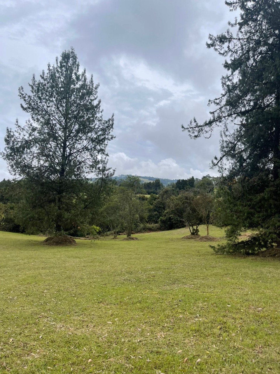 Lote en venta avenida las palmas K2 Envigado Medellín Antioquia