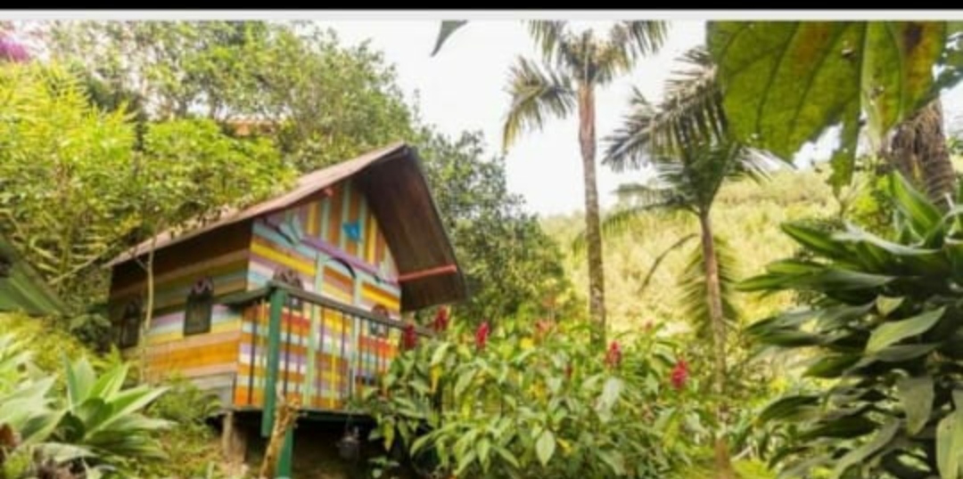 Finca en Venta Construccion Tradicional Caldas Antioquia