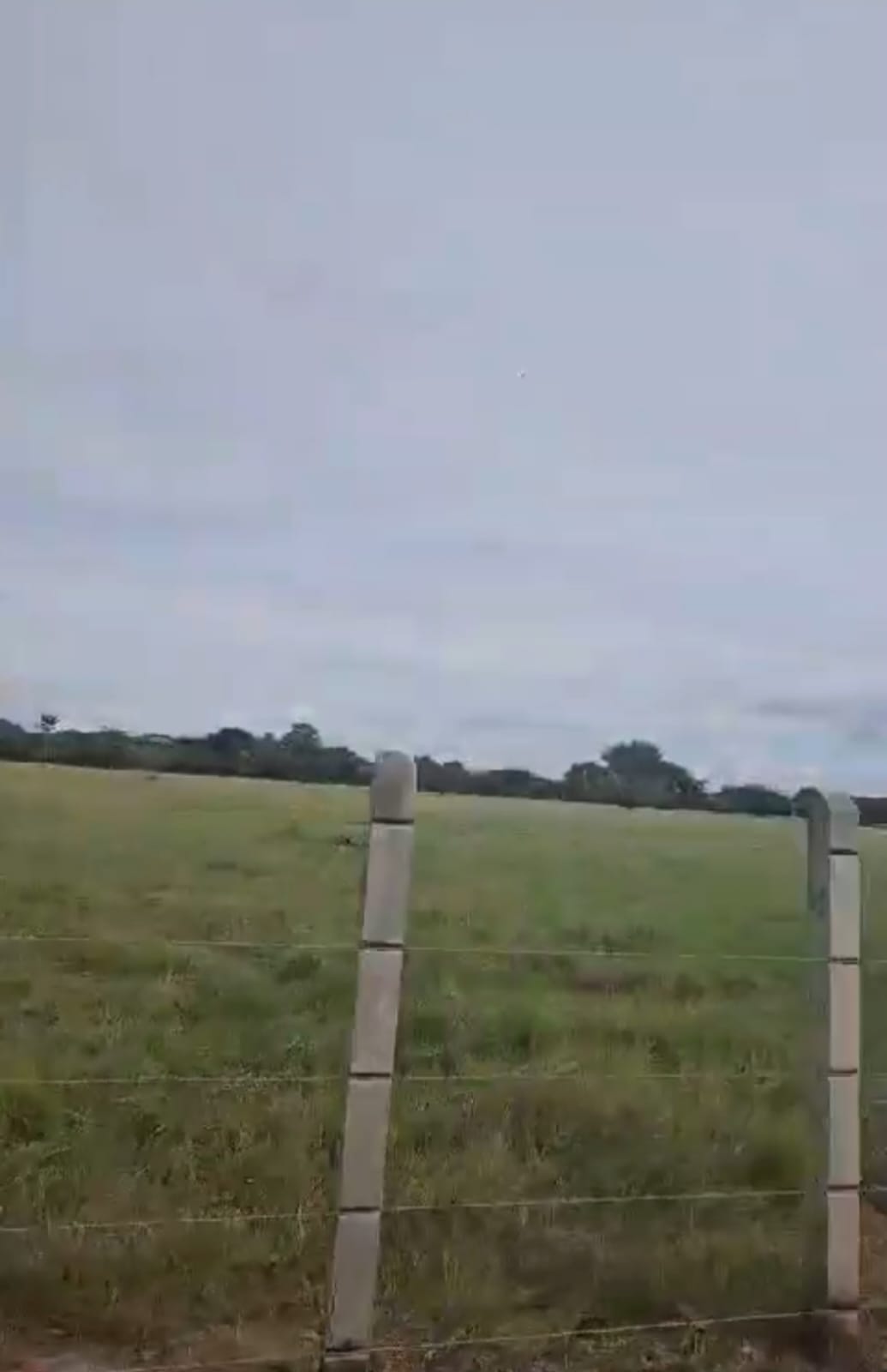 Vendo Finca Ganadera Momil Cordoba