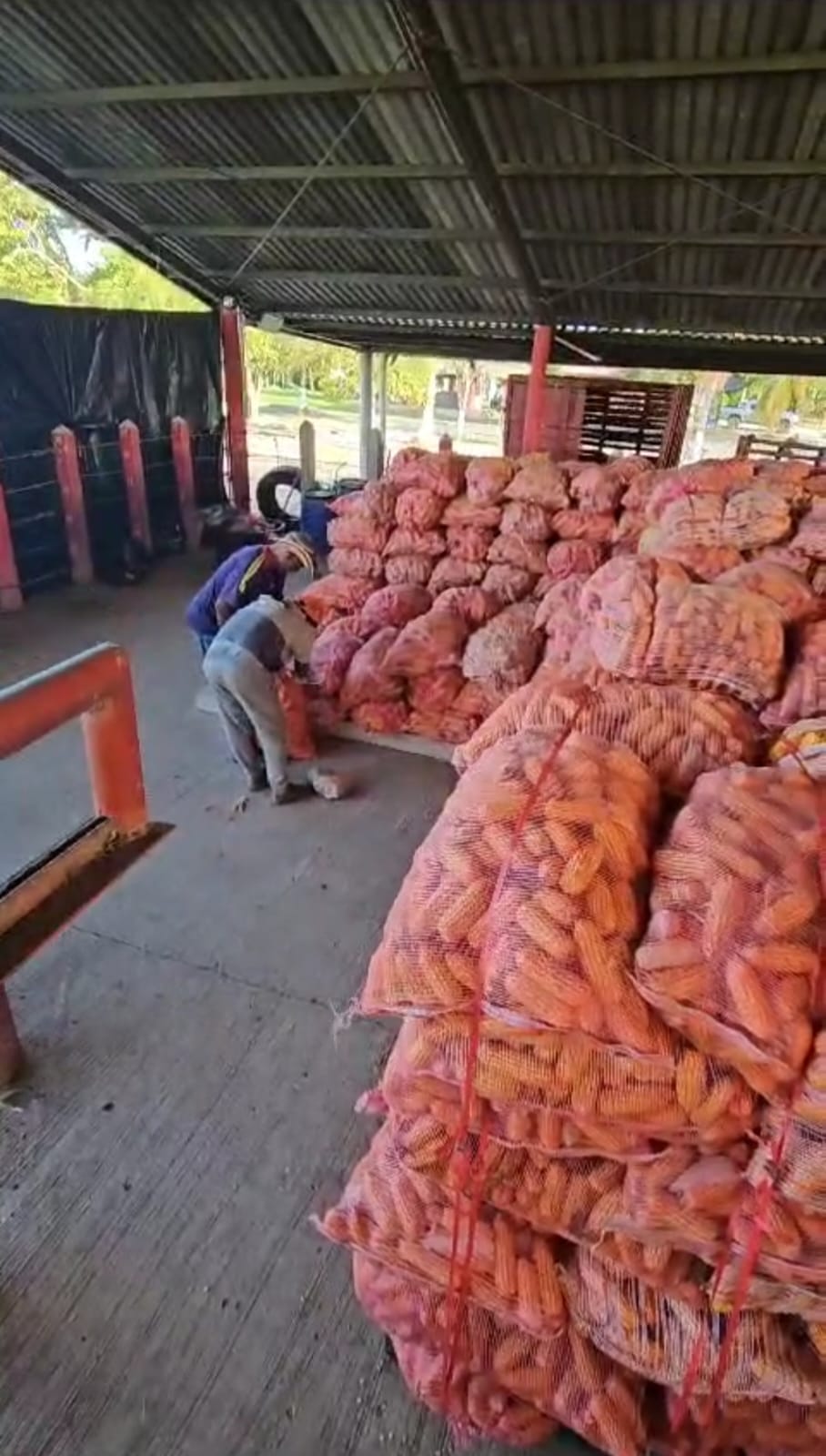 Venta de Finca Tecnificada para la Ganadería y Agricultura Córdoba