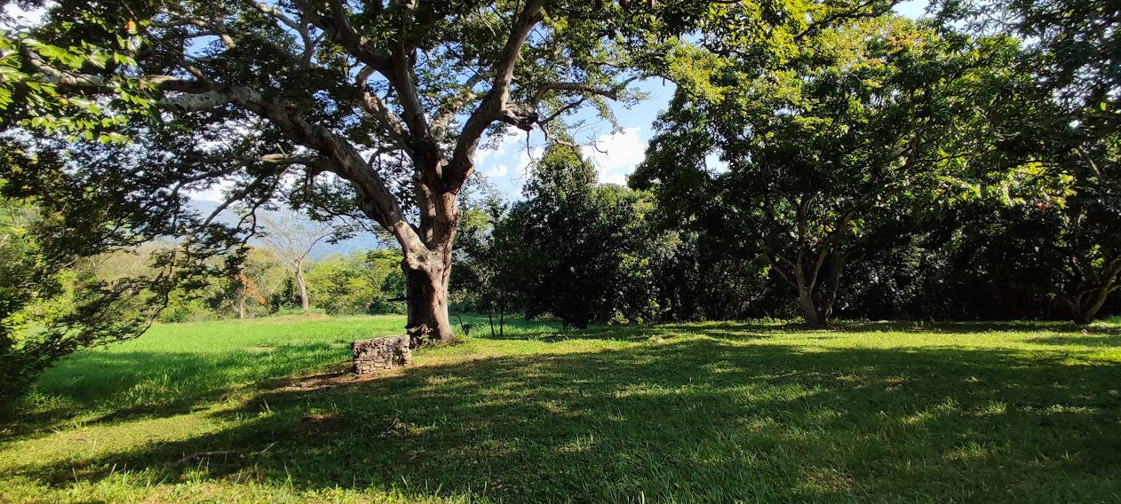 Venta de lote en Sopetran