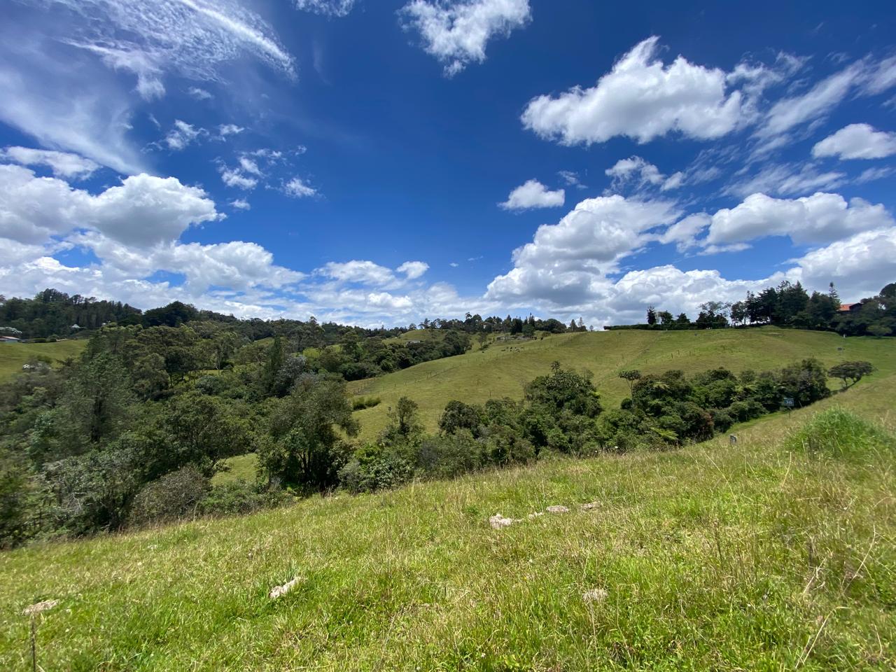 Lote para la venta en El Retiro sector Pantanillo