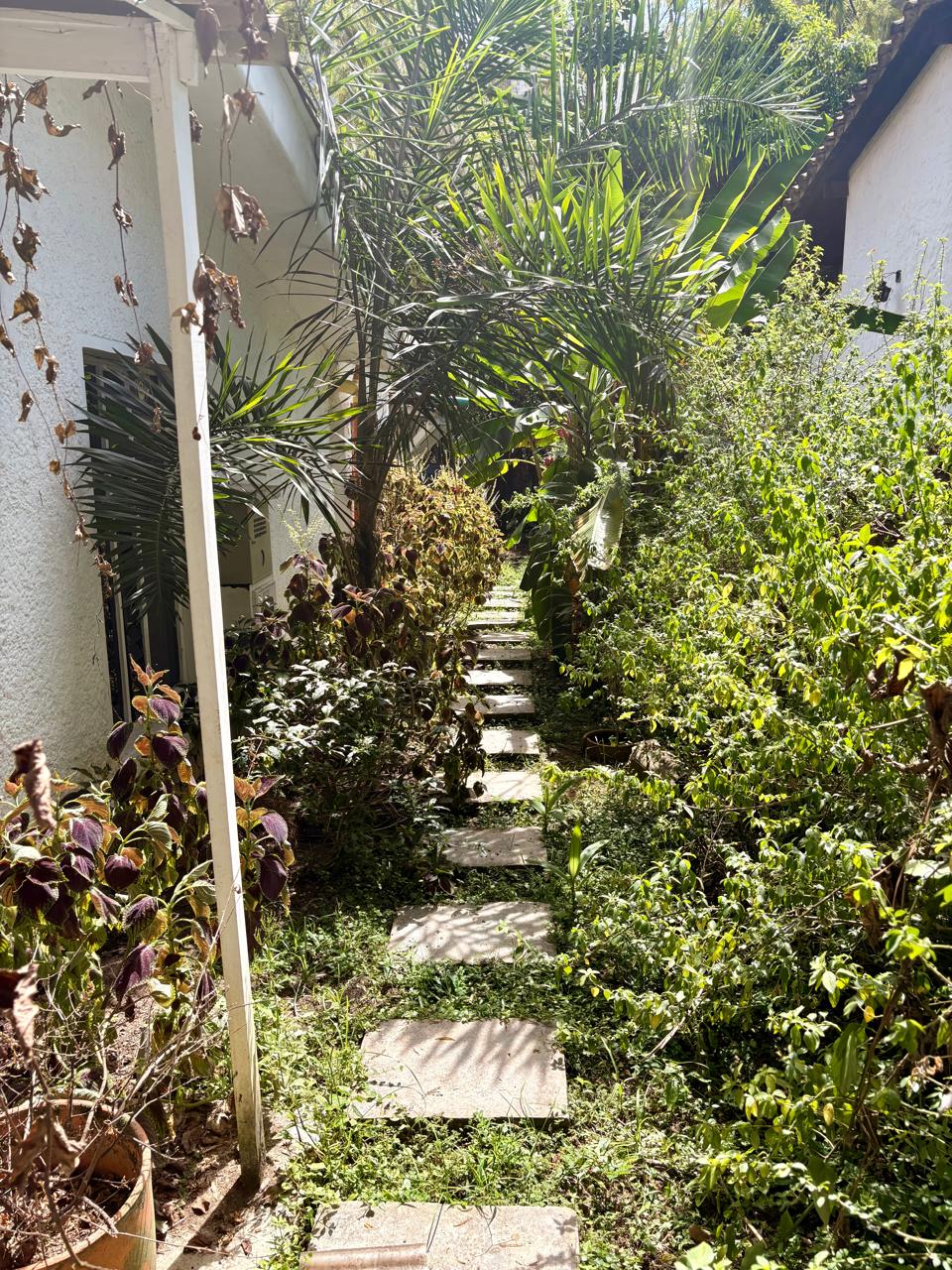 Casa Lote para venta en Poblado  Castropol