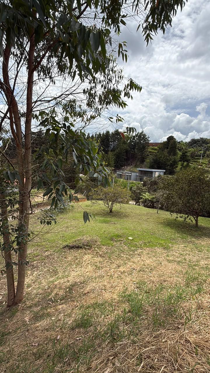 LOTE EN VENTA – PARCELACIÓN PIEDRAS BLANCAS