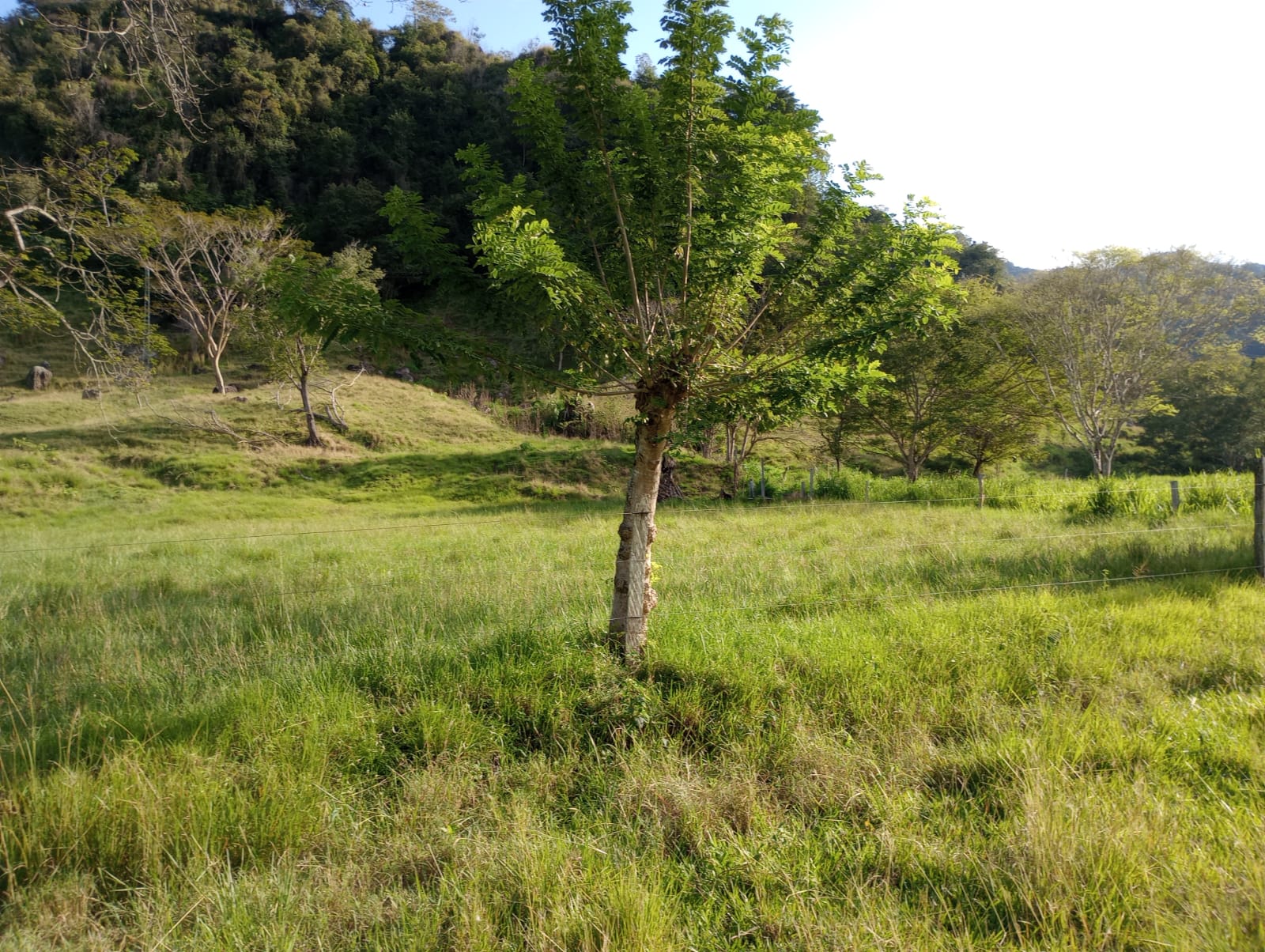 Finca en venta en Honda  Tolima
