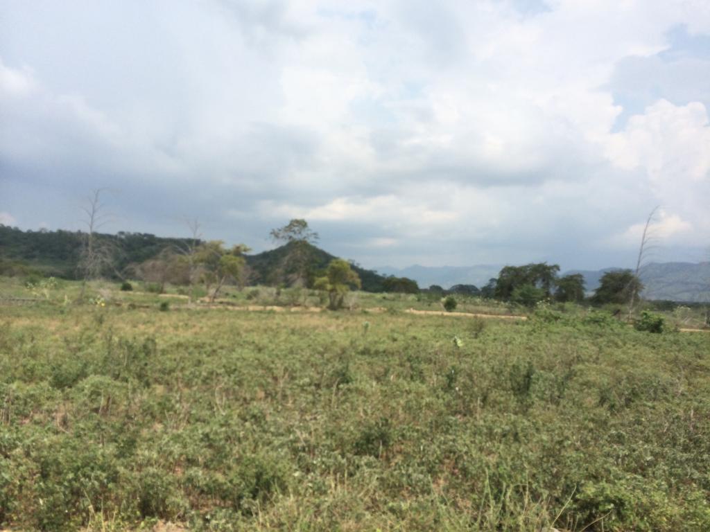 Finca en venta en Honda  Tolima