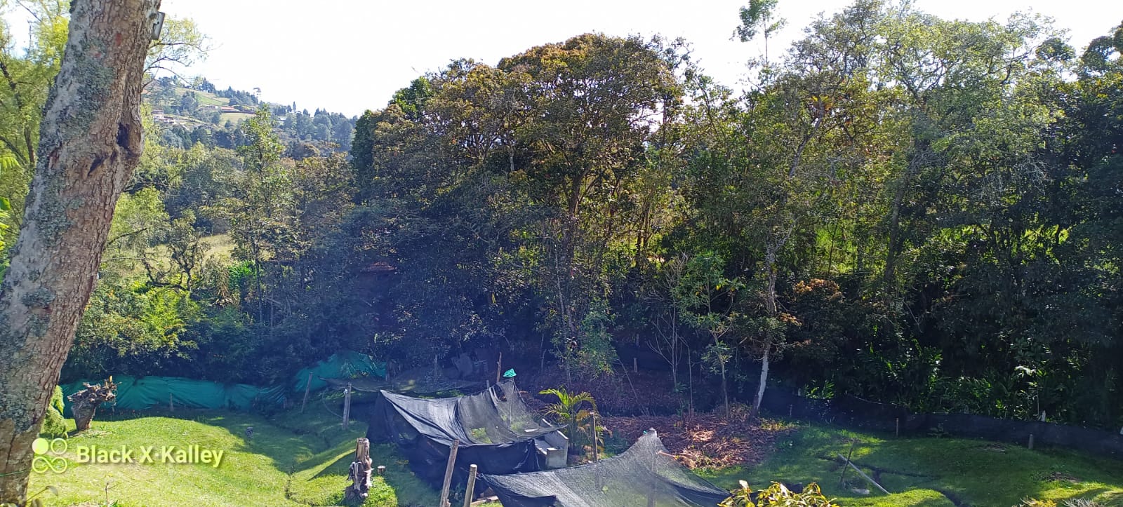 Casa en venta en Guarne vía Piedras blancas