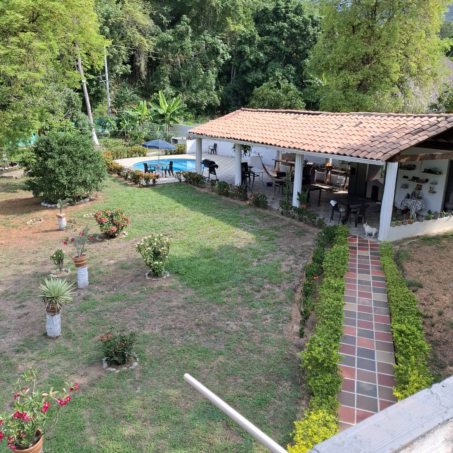 Venta de finca en Santa fe de Antioquia