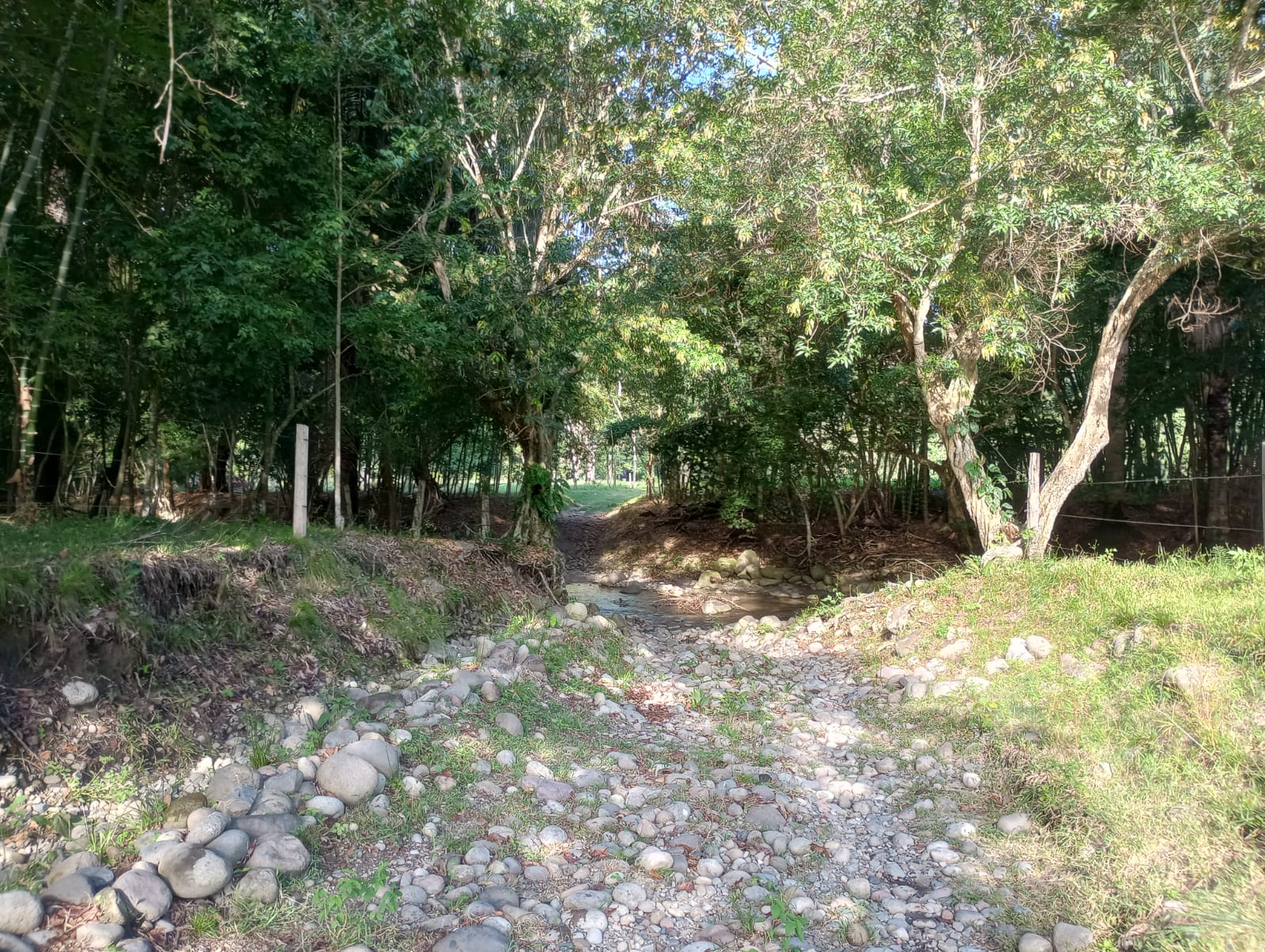 Finca en venta en Honda  Tolima