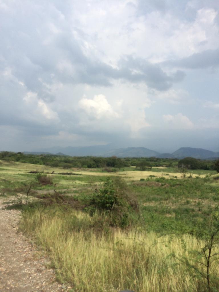 Finca en venta en Honda  Tolima