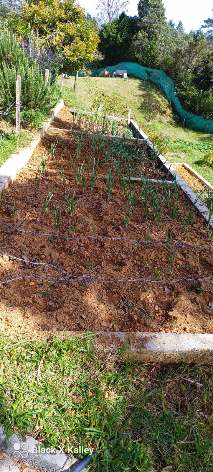 Casa en venta en Guarne vía Piedras blancas