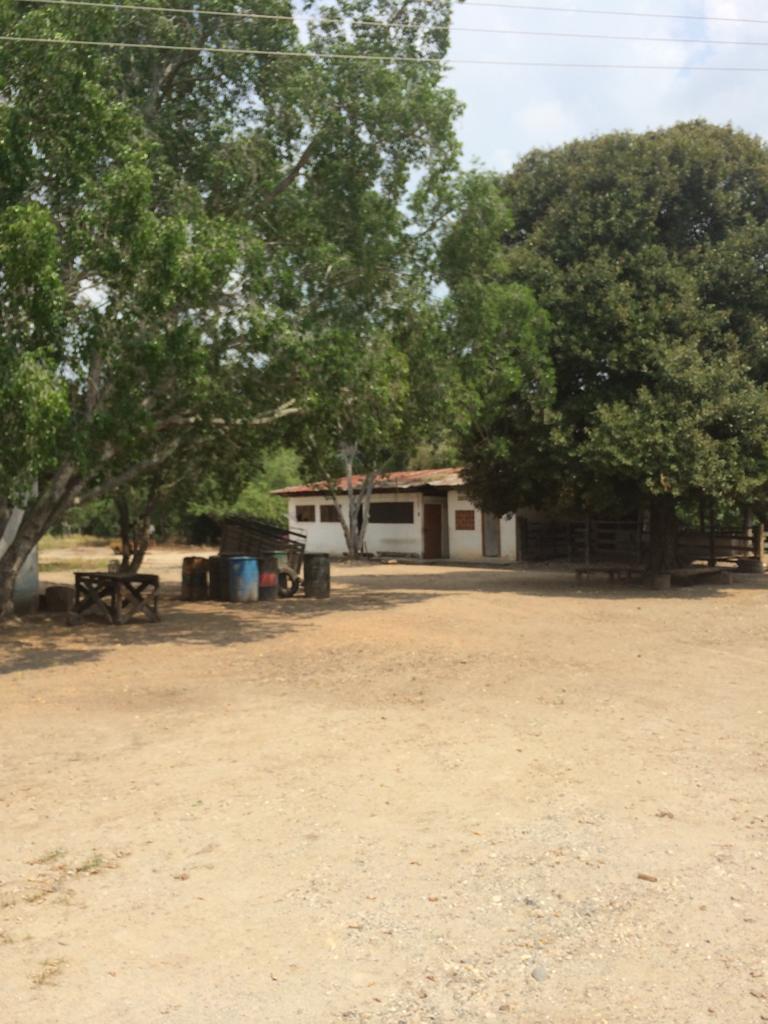 Finca en venta en Honda  Tolima