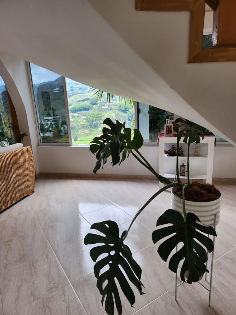 Venta de finca en El Peñol Vereda La Helida