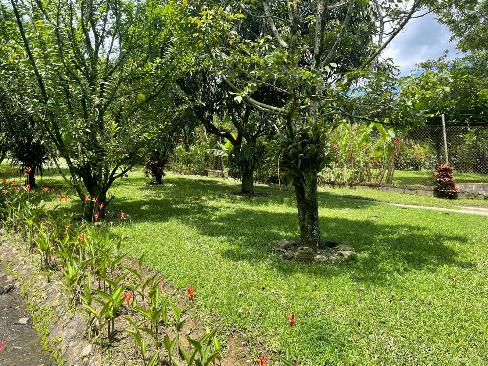 Finca para la venta en Copacabana  Antioquia
