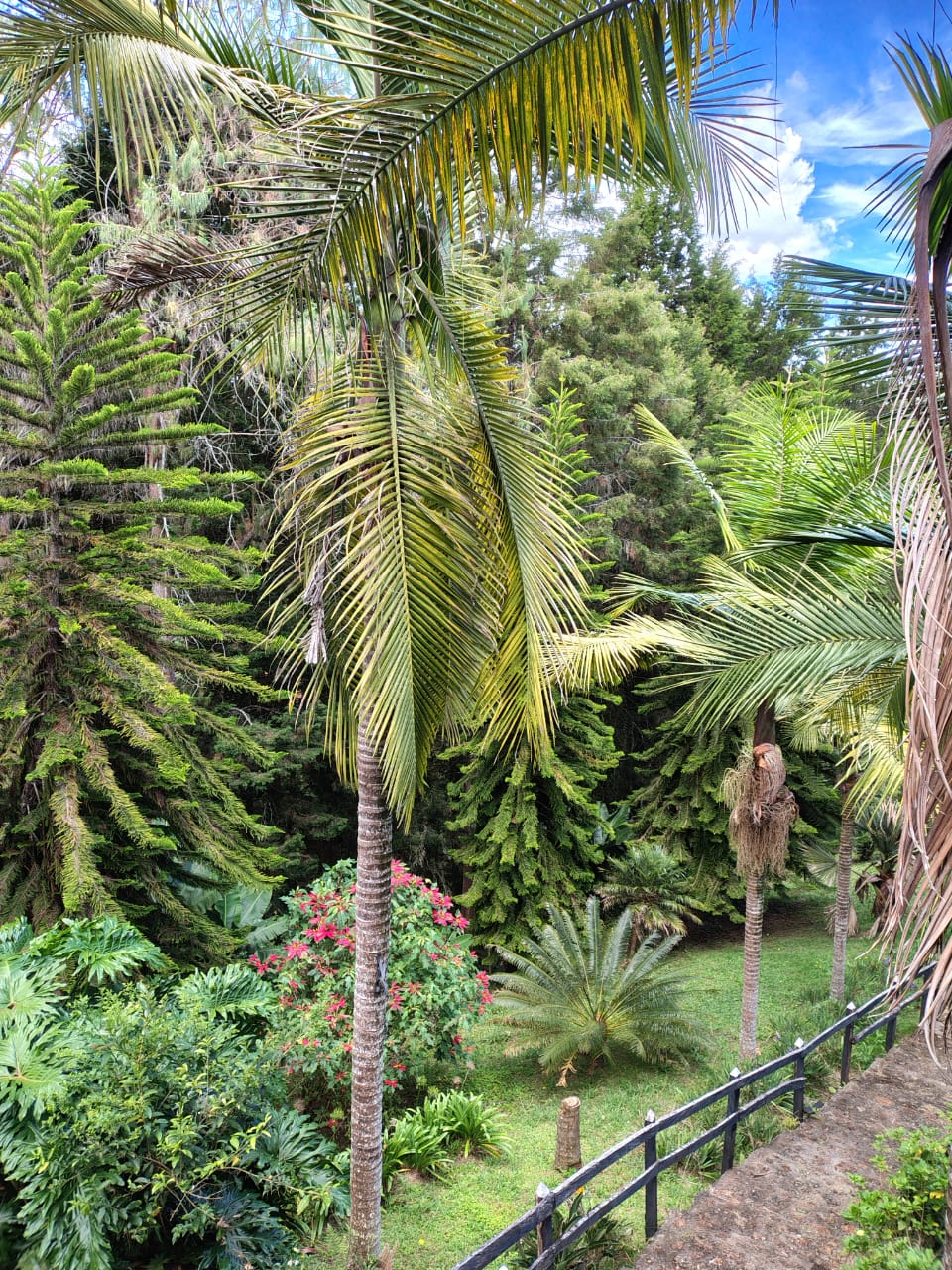 Casa para la venta en Rionegro vereda Mampuesto Antioquia
