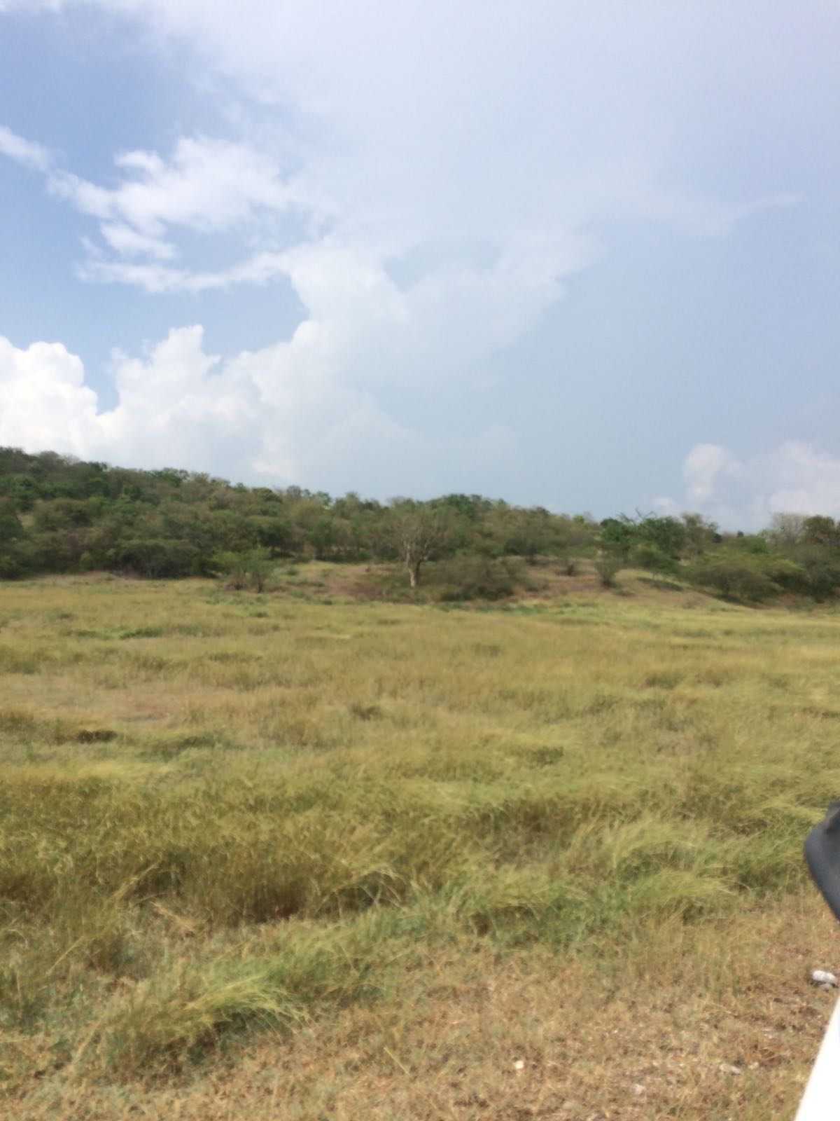 Finca en venta en Honda  Tolima