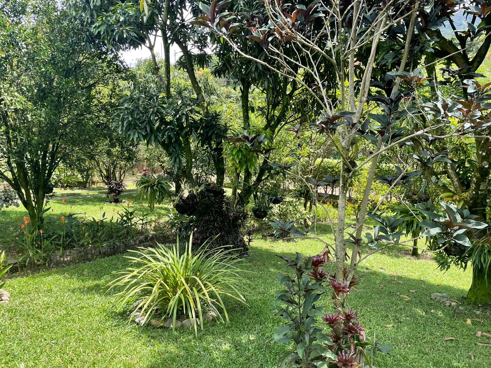 Finca para la venta en Copacabana  Antioquia
