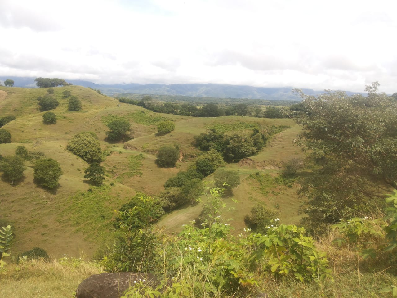 Finca en venta en el Tolima