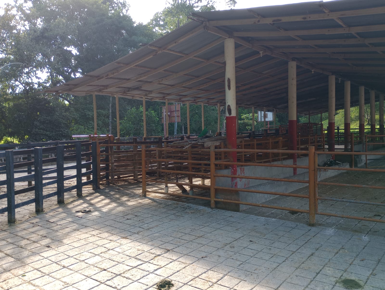 Finca en venta en Honda  Tolima