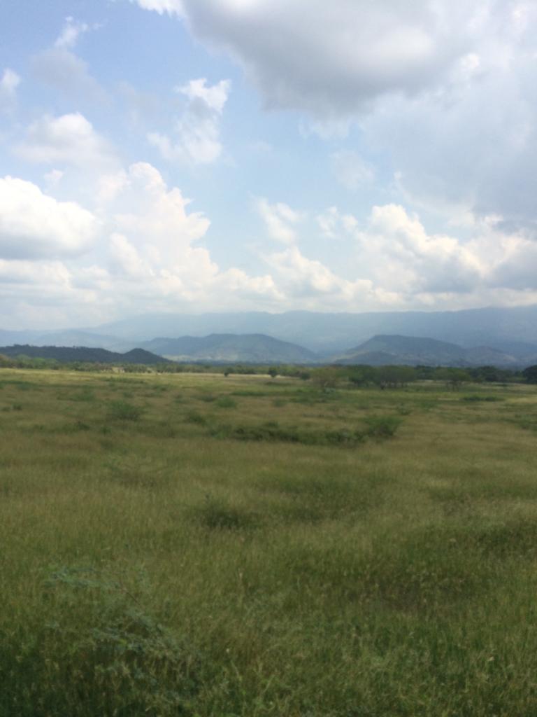 Finca en venta en Honda  Tolima