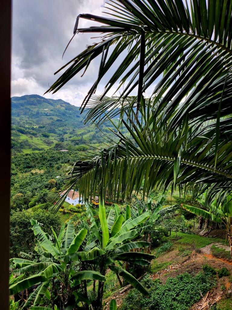 Venta de finca en El Peñol Vereda La Helida