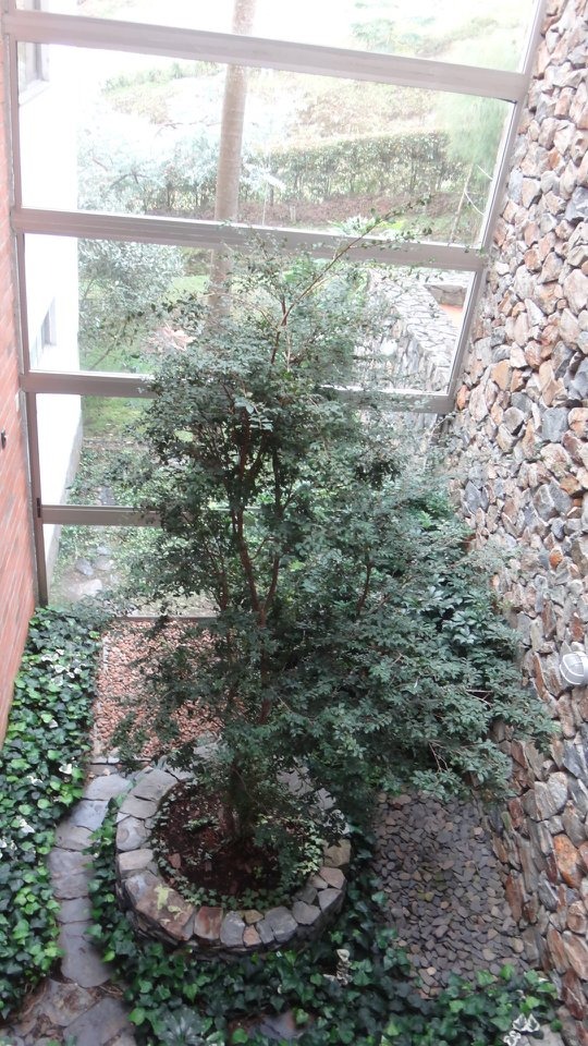 Casa en venta en las Palmas Medellin