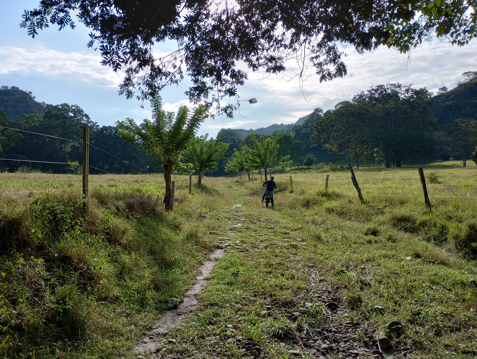 Finca en venta en Honda  Tolima
