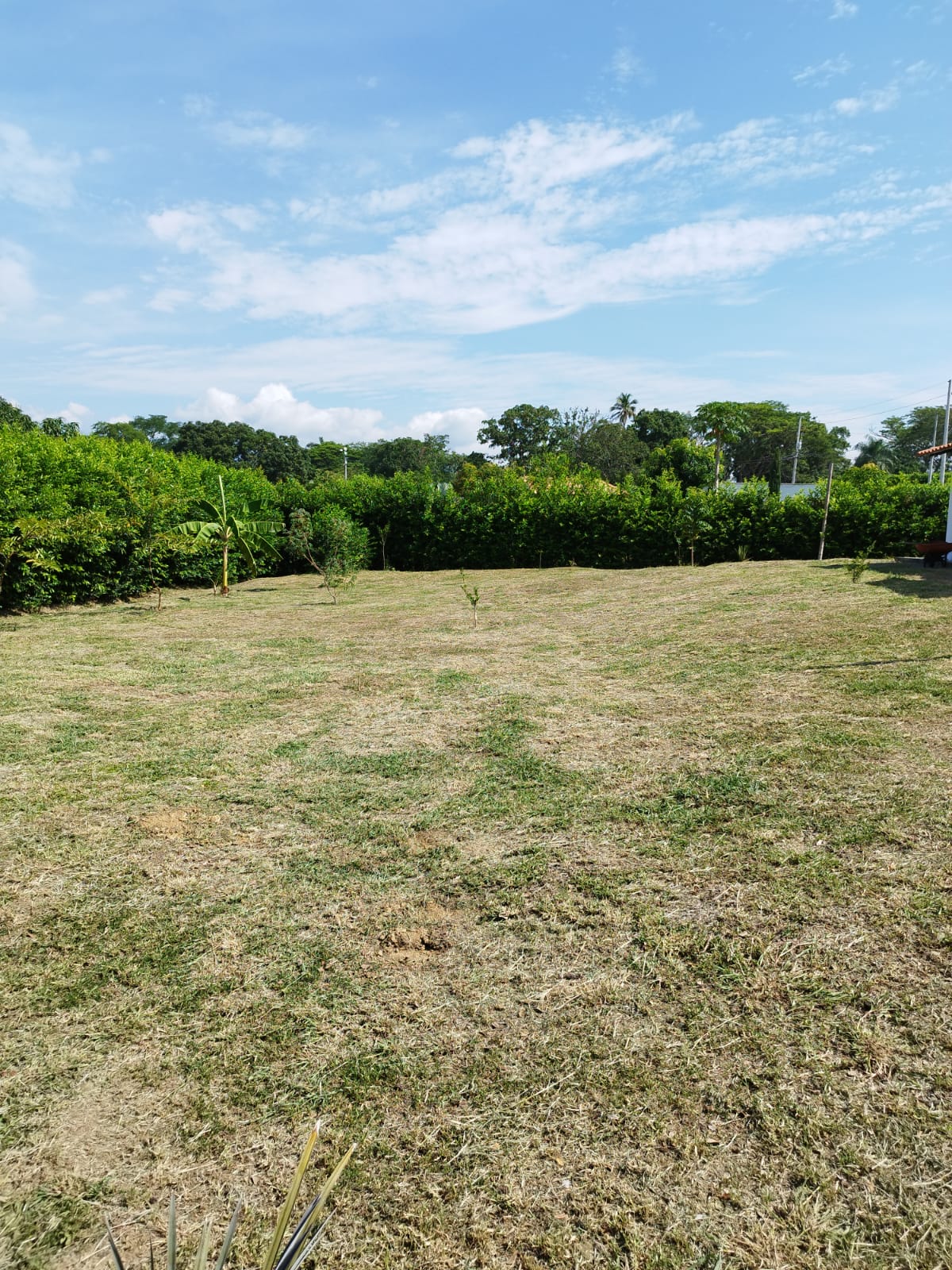 Casa finca  en venta en Sopetran el Rodeo