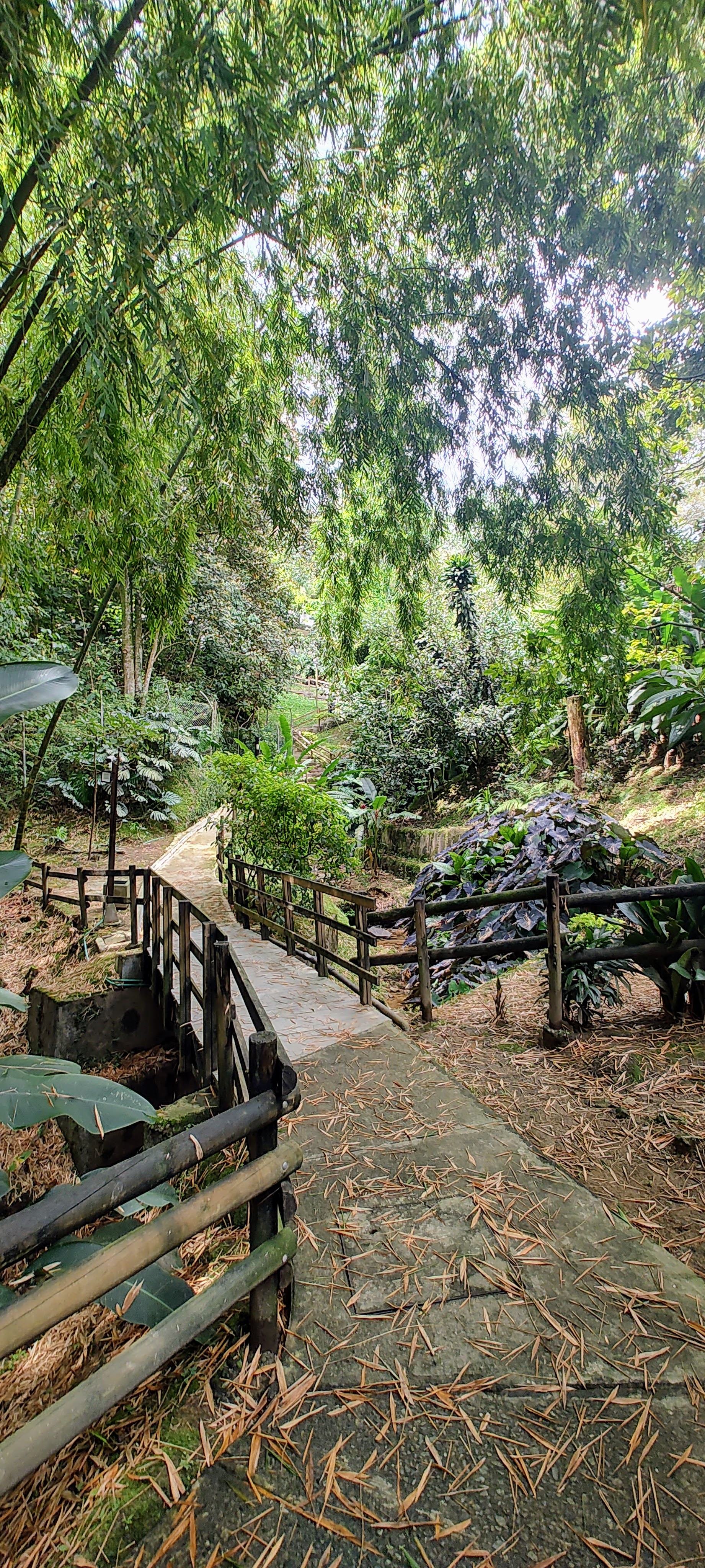 Casa  en  venta  en Envigado