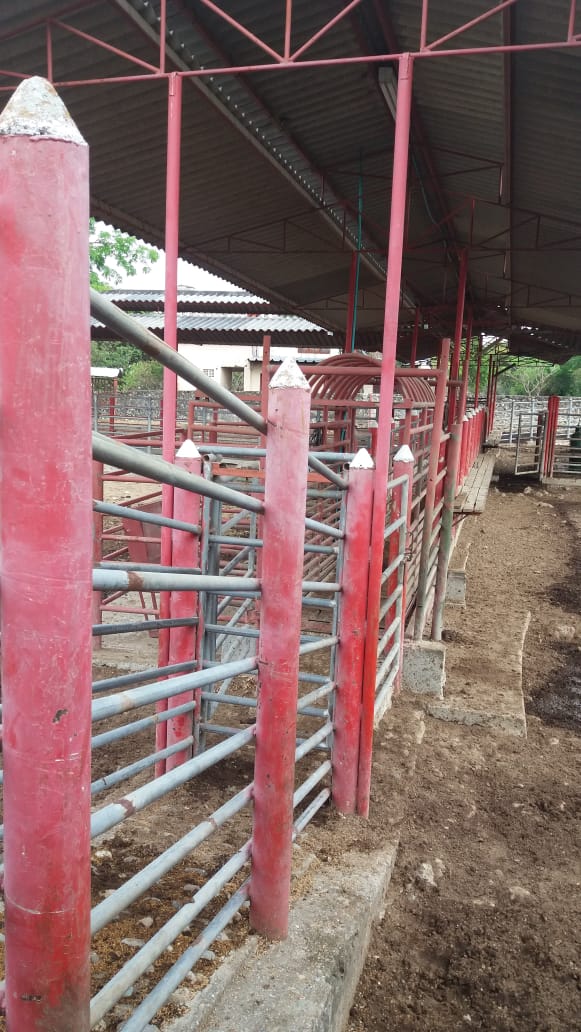 Finca en venta en el Tolima