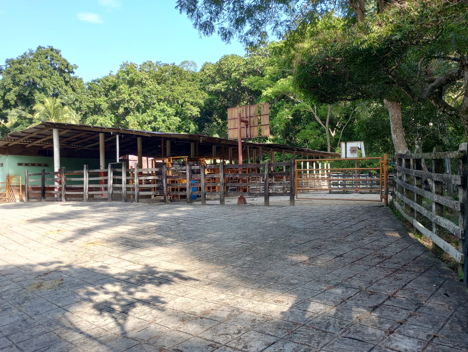 Finca en venta en Honda  Tolima