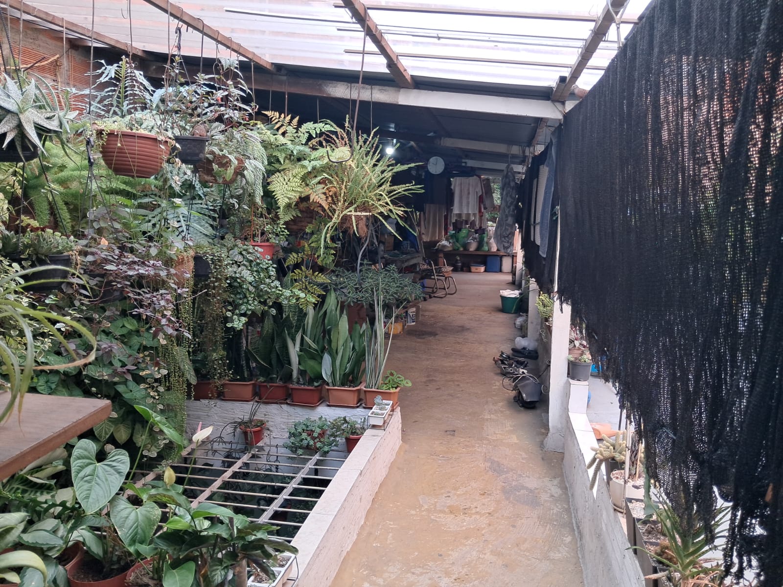 Casa Lote en Venta En Buenos Aires - Medellín