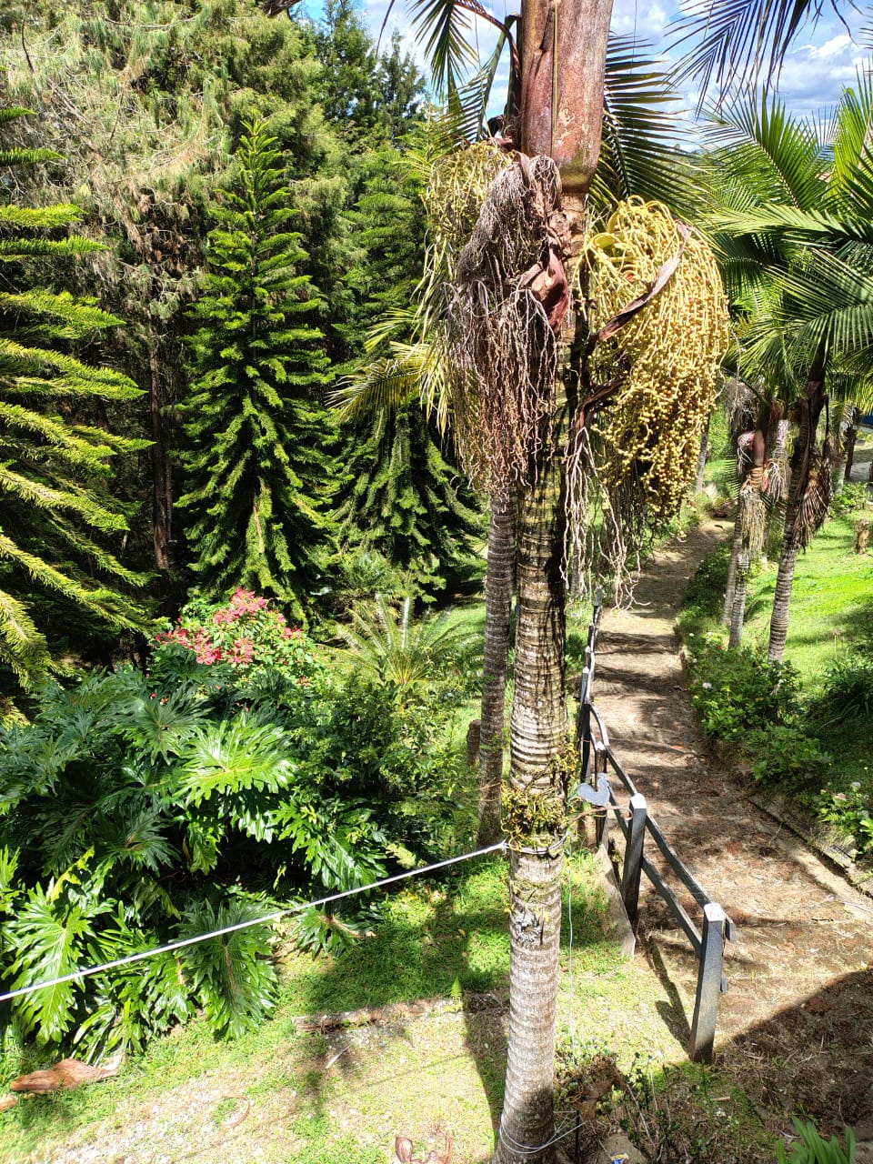 Casa para la venta en Rionegro vereda Mampuesto Antioquia