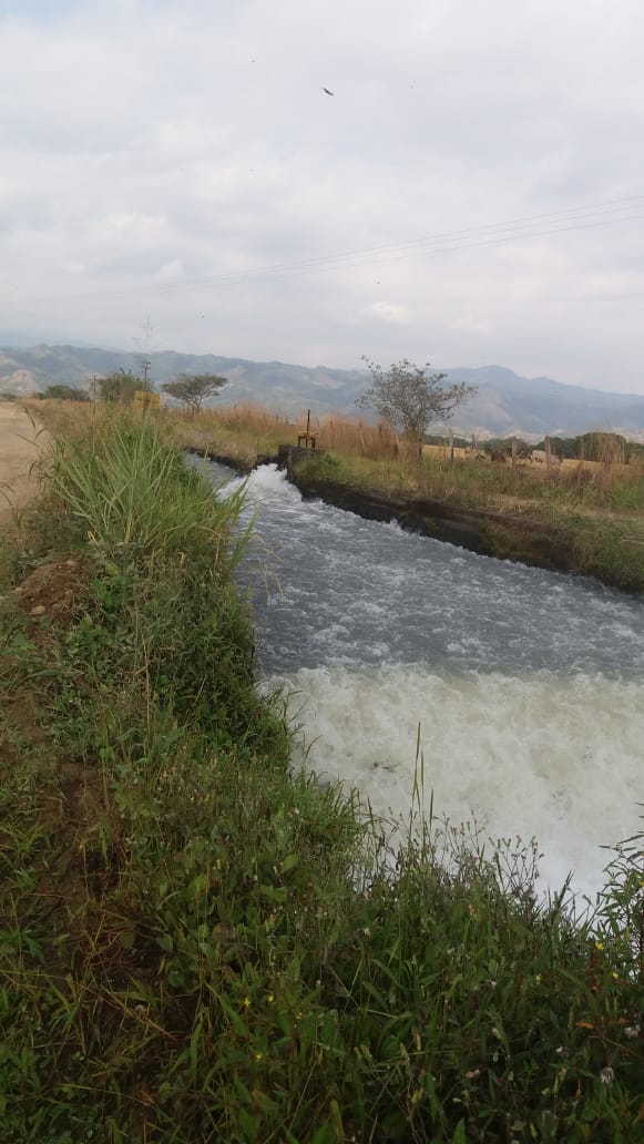 Finca en venta en el Tolima
